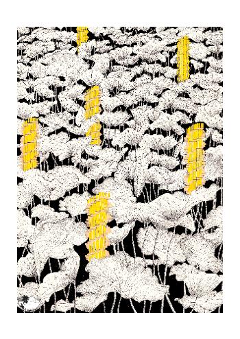 Tisser l&rsquo;Invisible