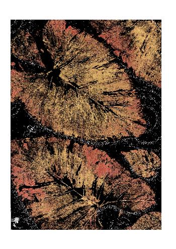 Travers&eacute;es silencieuses