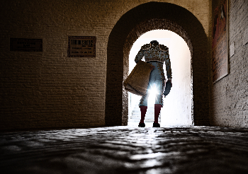 torero en real maestranza de caballer&iacute;a se sevilla