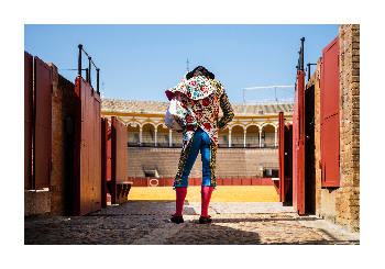 torero en maestranza de sevilla