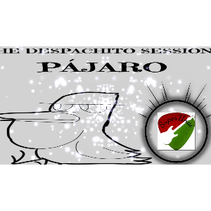 P&aacute;jaro Single Edit Version