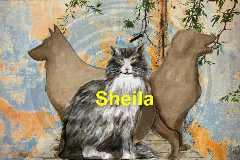 Sheila