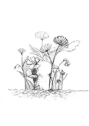 PARA QUE SEAS n&ordm; 18